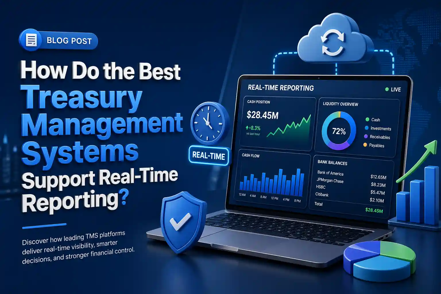 treasury management software